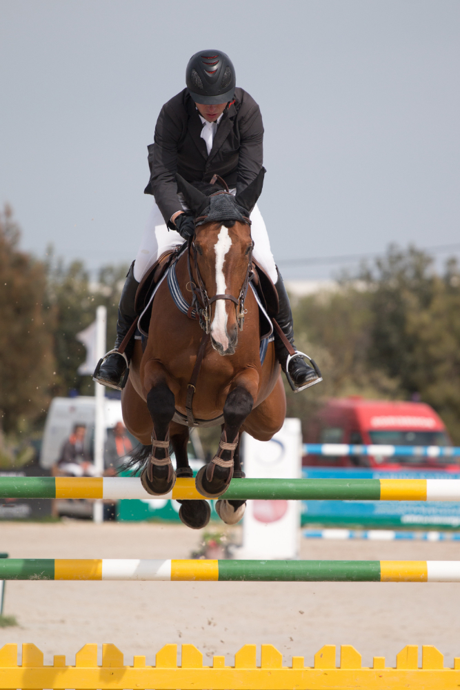 horse jumping competition